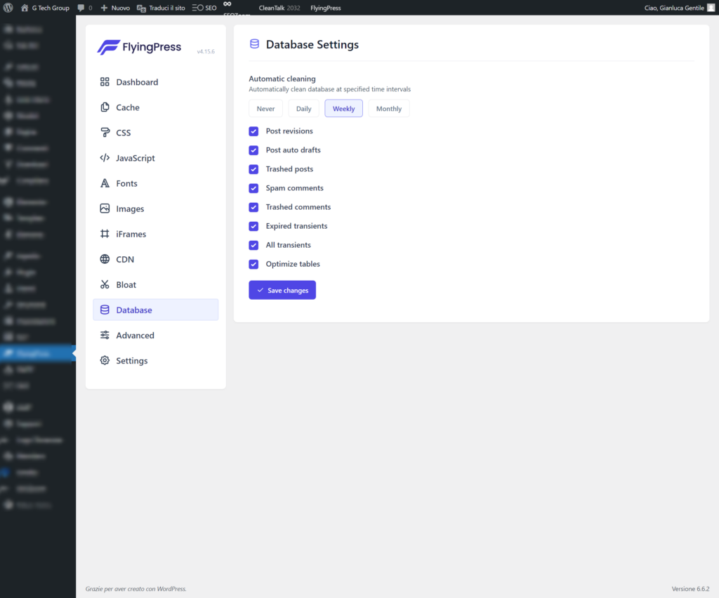 ottimizzazione del database con flyingpress