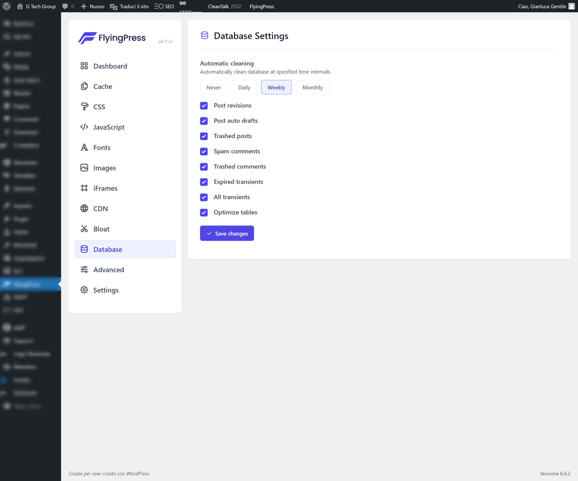 ottimizzazione del database con flyingpress